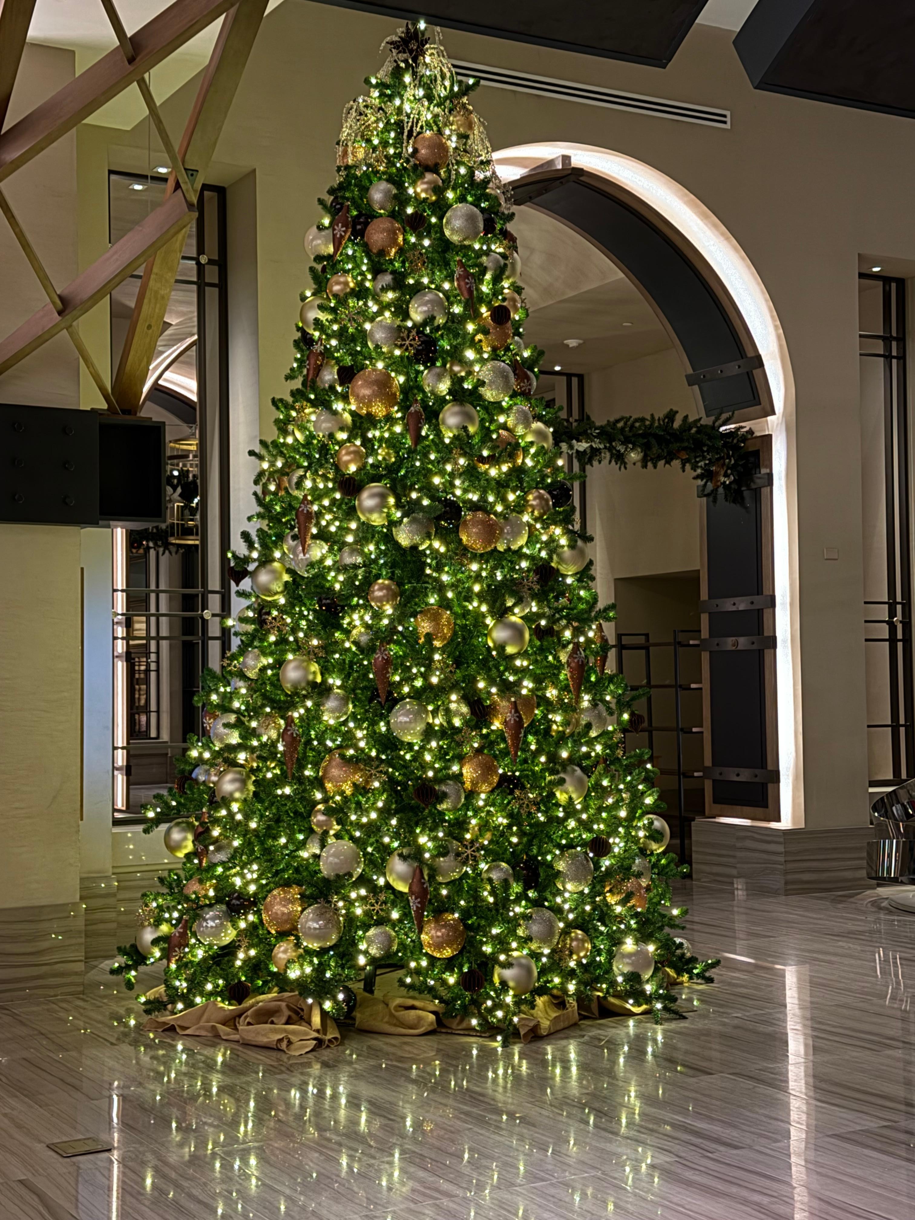 The only photo I got but this tree was so beautiful 