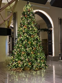 The only photo I got but this tree was so beautiful