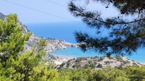 View from garden