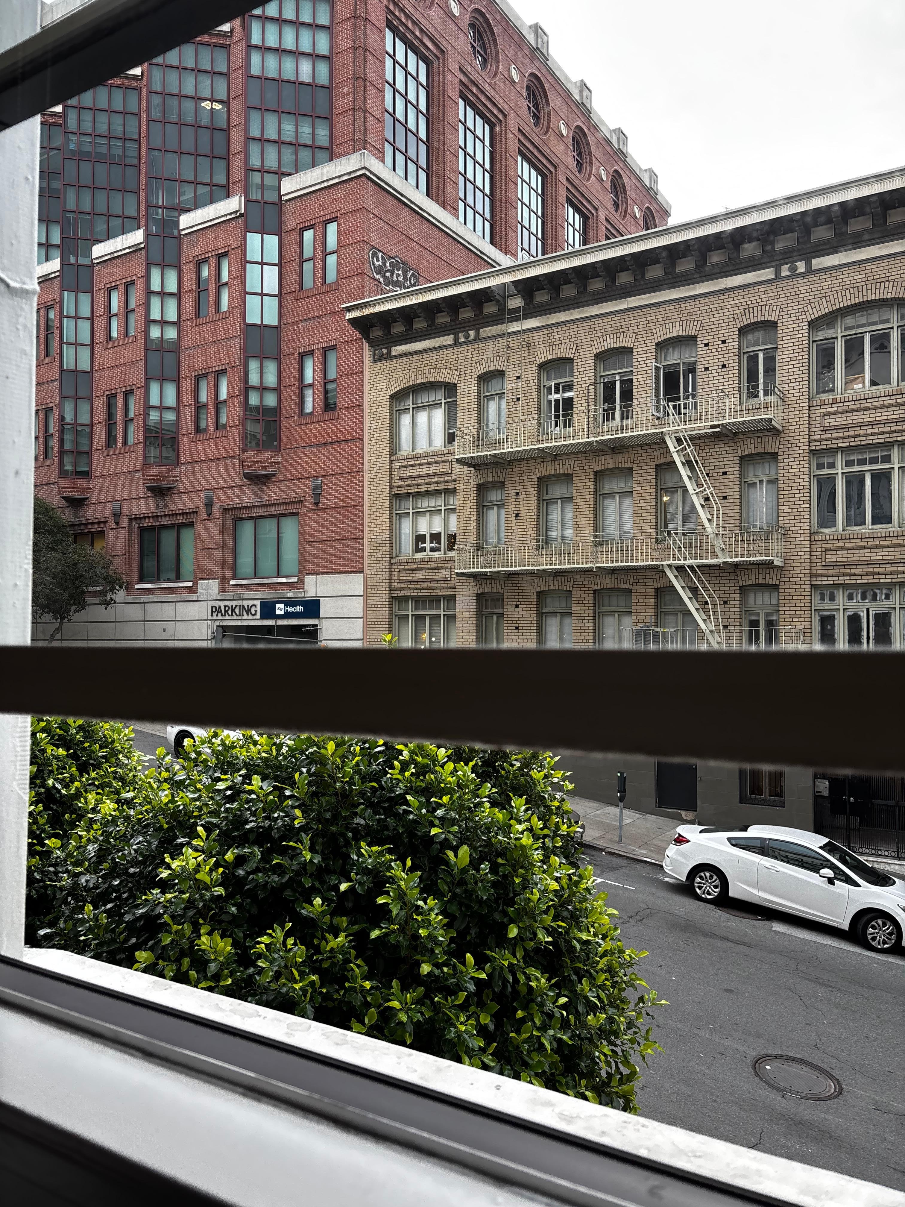 My view from my room. 