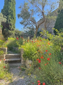 View of the garden