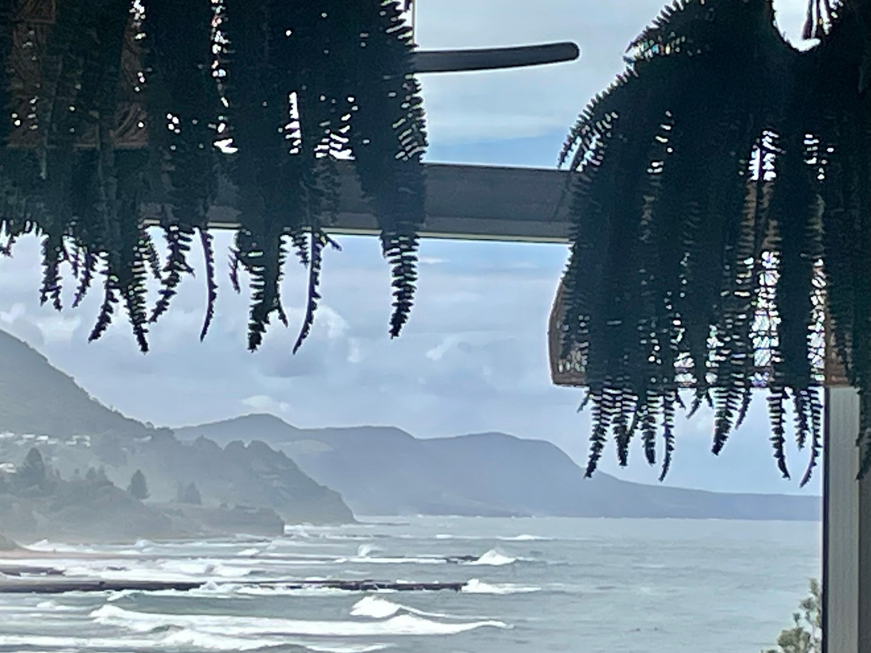 View from lunch place in Austinmer