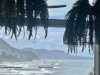 View from lunch place in Austinmer