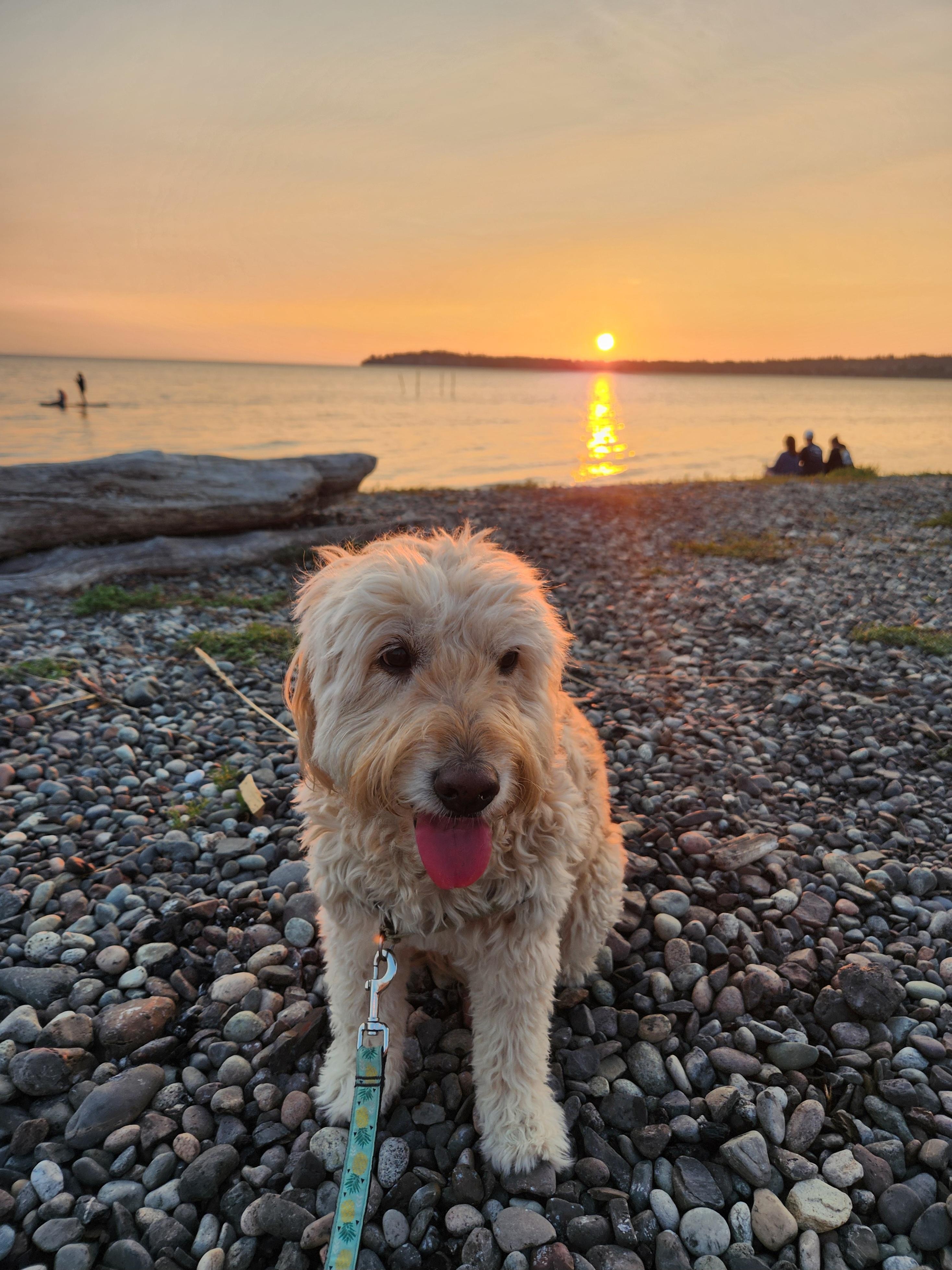 Every sunset was amazing!