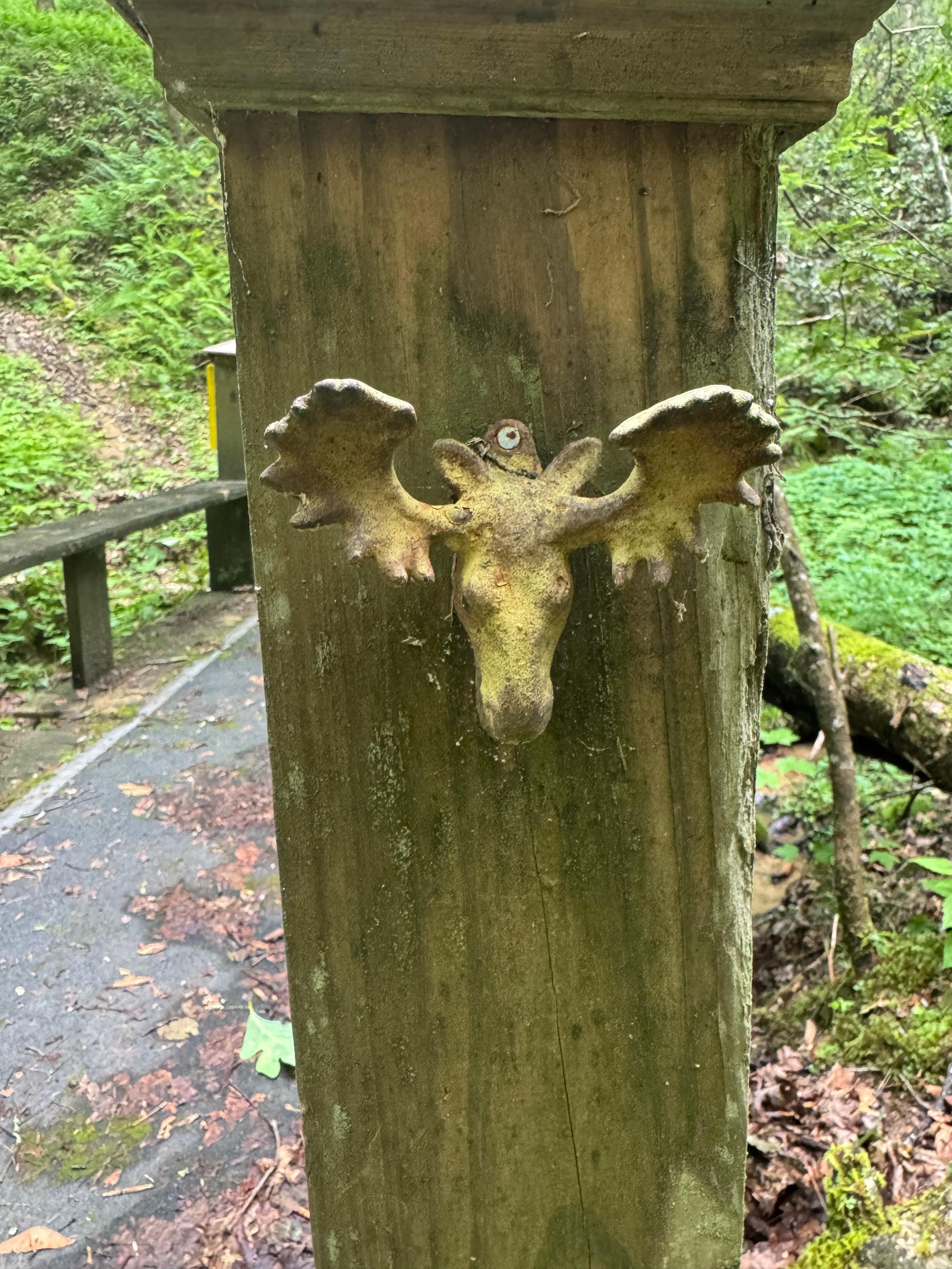 See if you can find it!