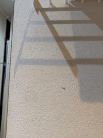 Mold/Mildewe on Walls