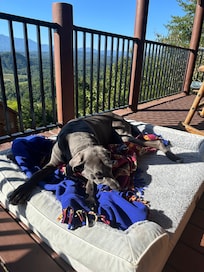 Relaxing on the deck