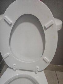 Urine on the bottom side of the seat