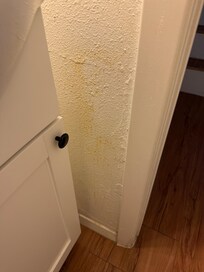 Stains on the bathroom walls