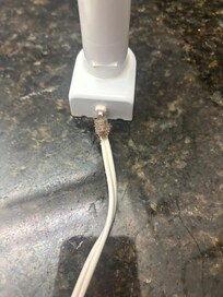 Bug in my room crawling on my toothbrush