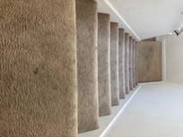 We took a towel to one of the stairs and it came up black