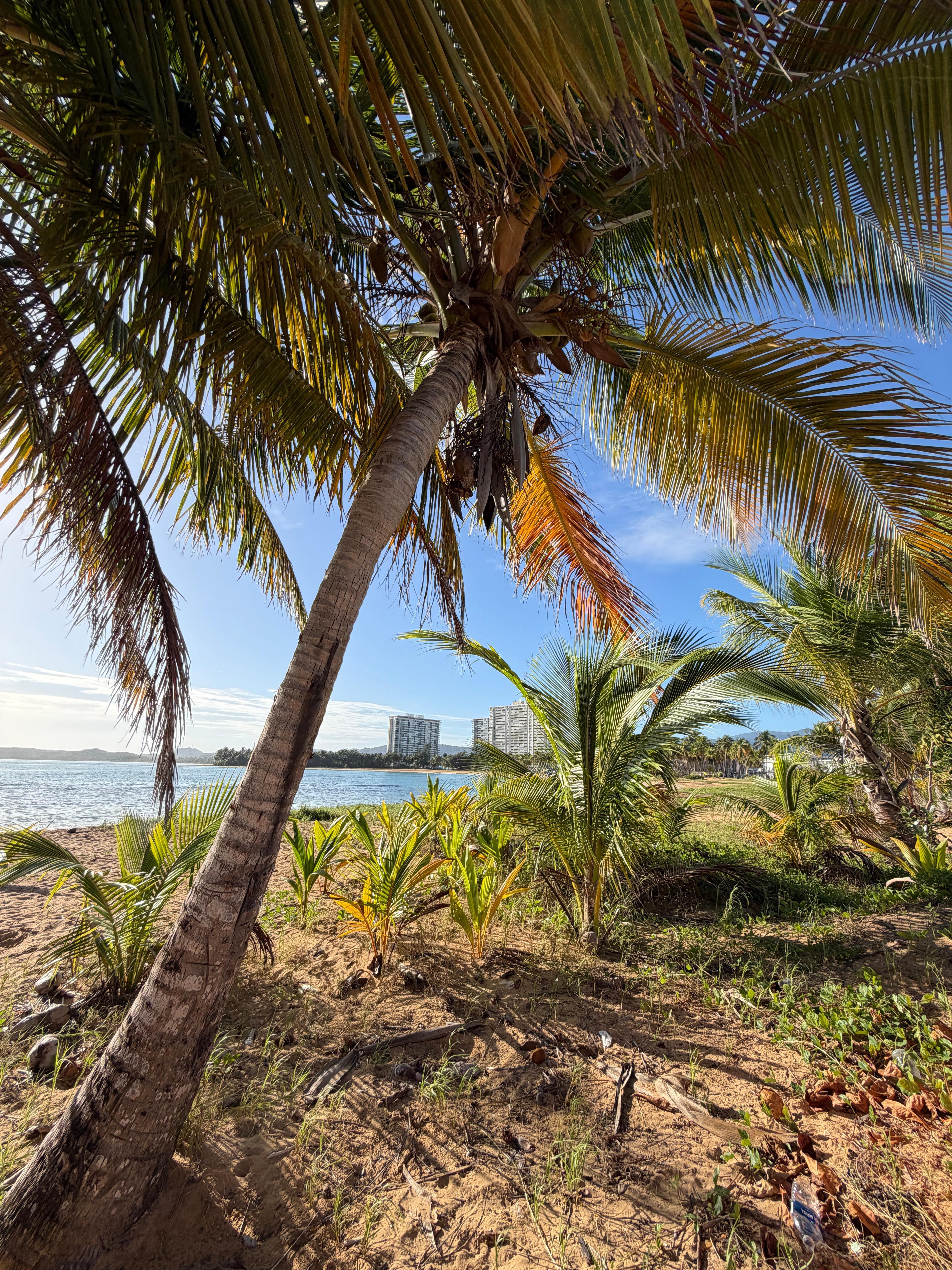 View of the building in the distance on a walk on the ocean.