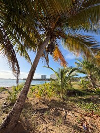View of the building in the distance on a walk on the ocean.