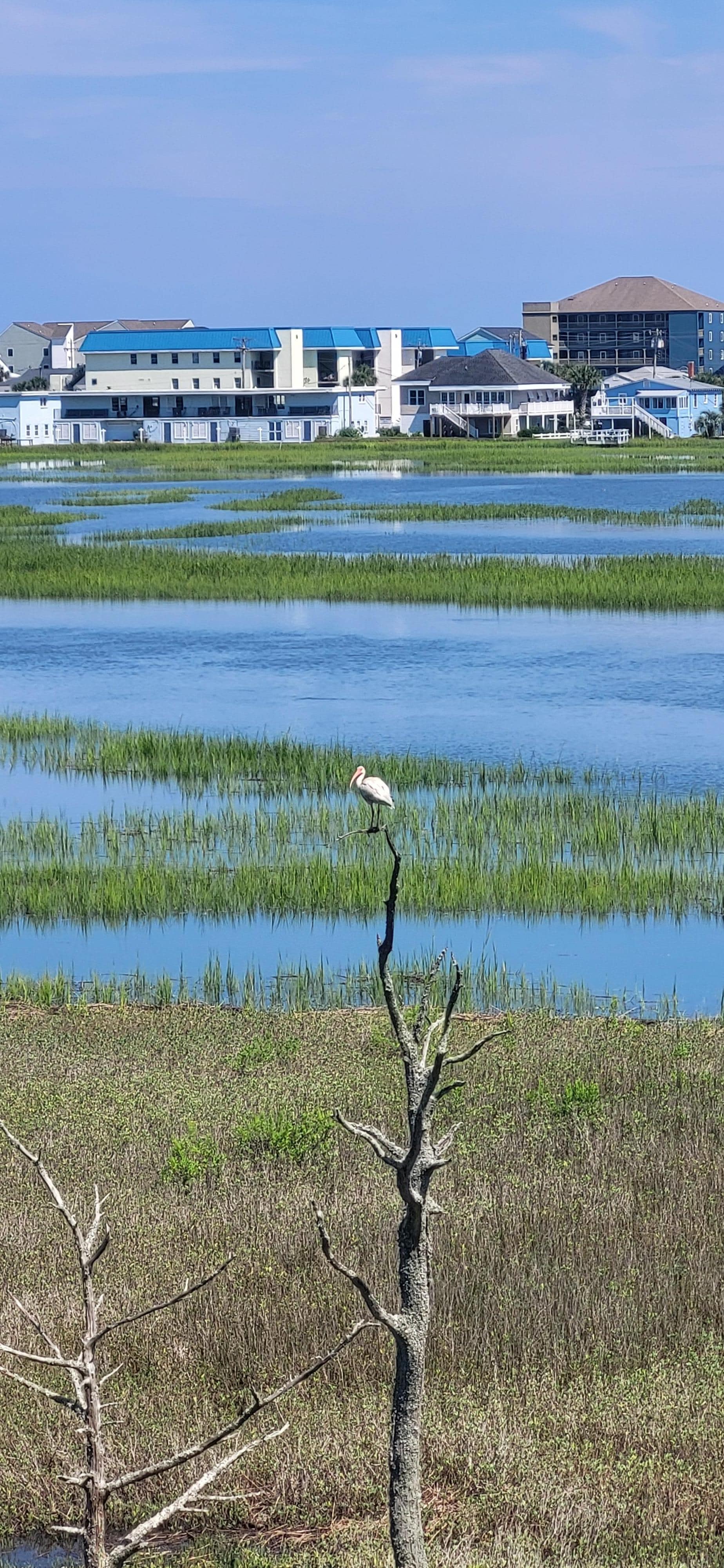 View from the balcony