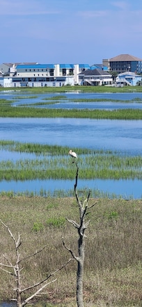 View from the balcony