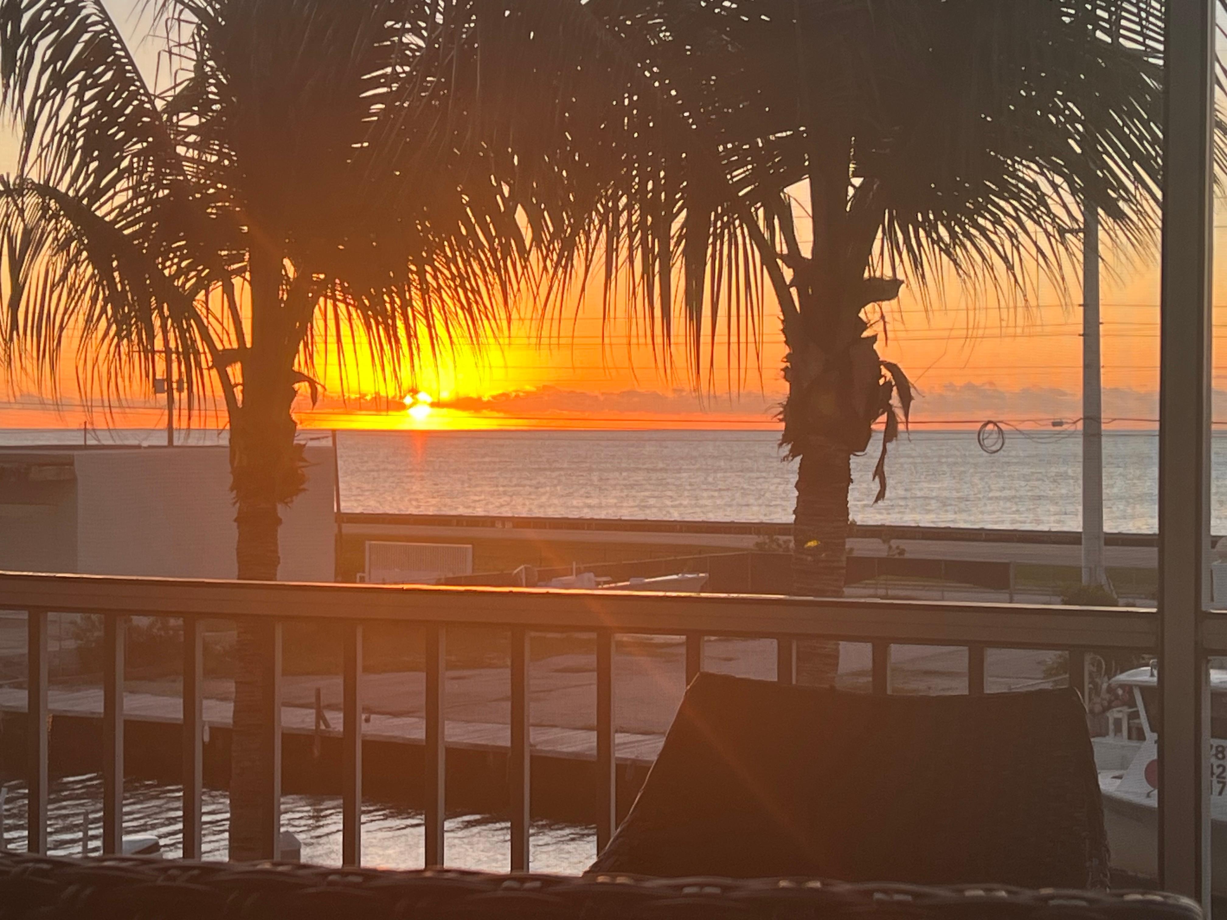 Sunrise from screened in porch. 