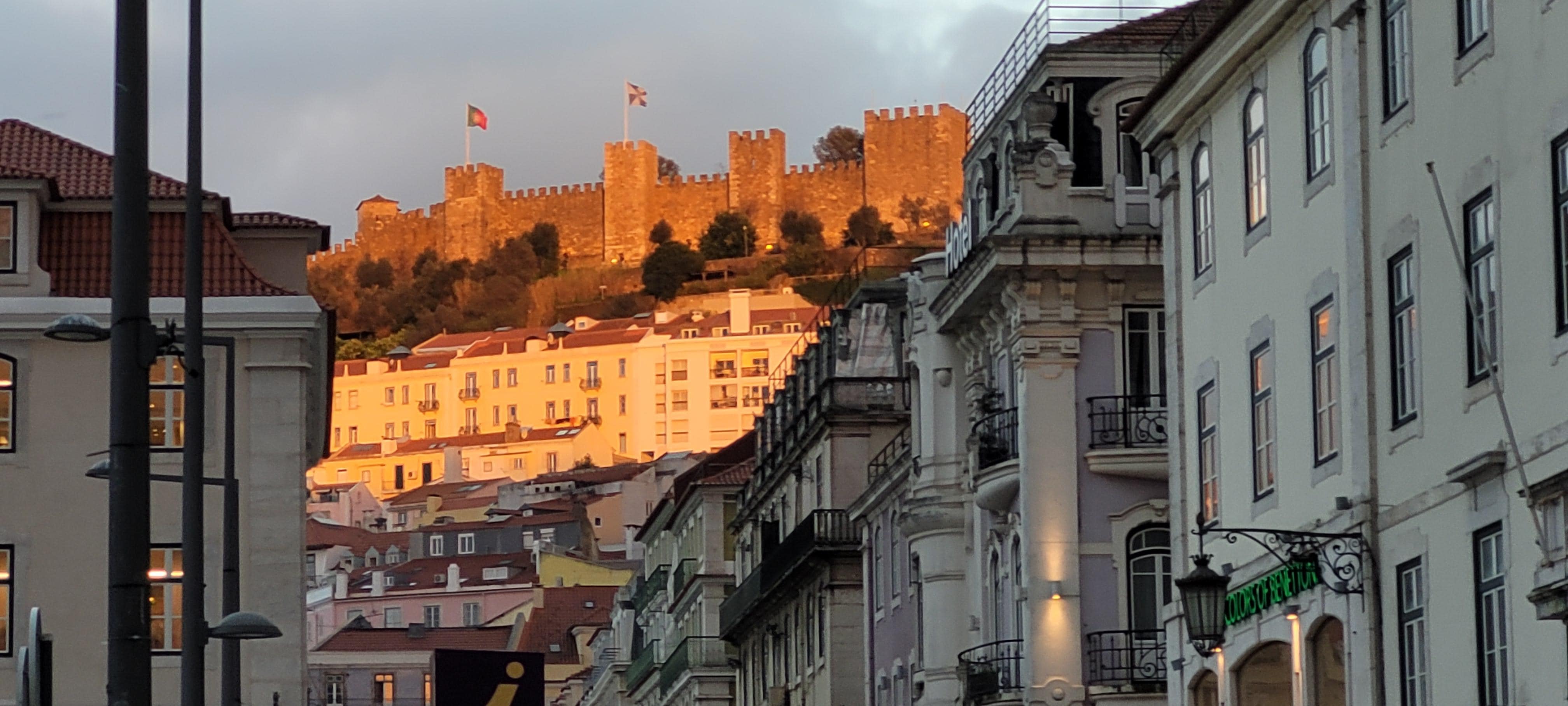 Always knew where to head for home!