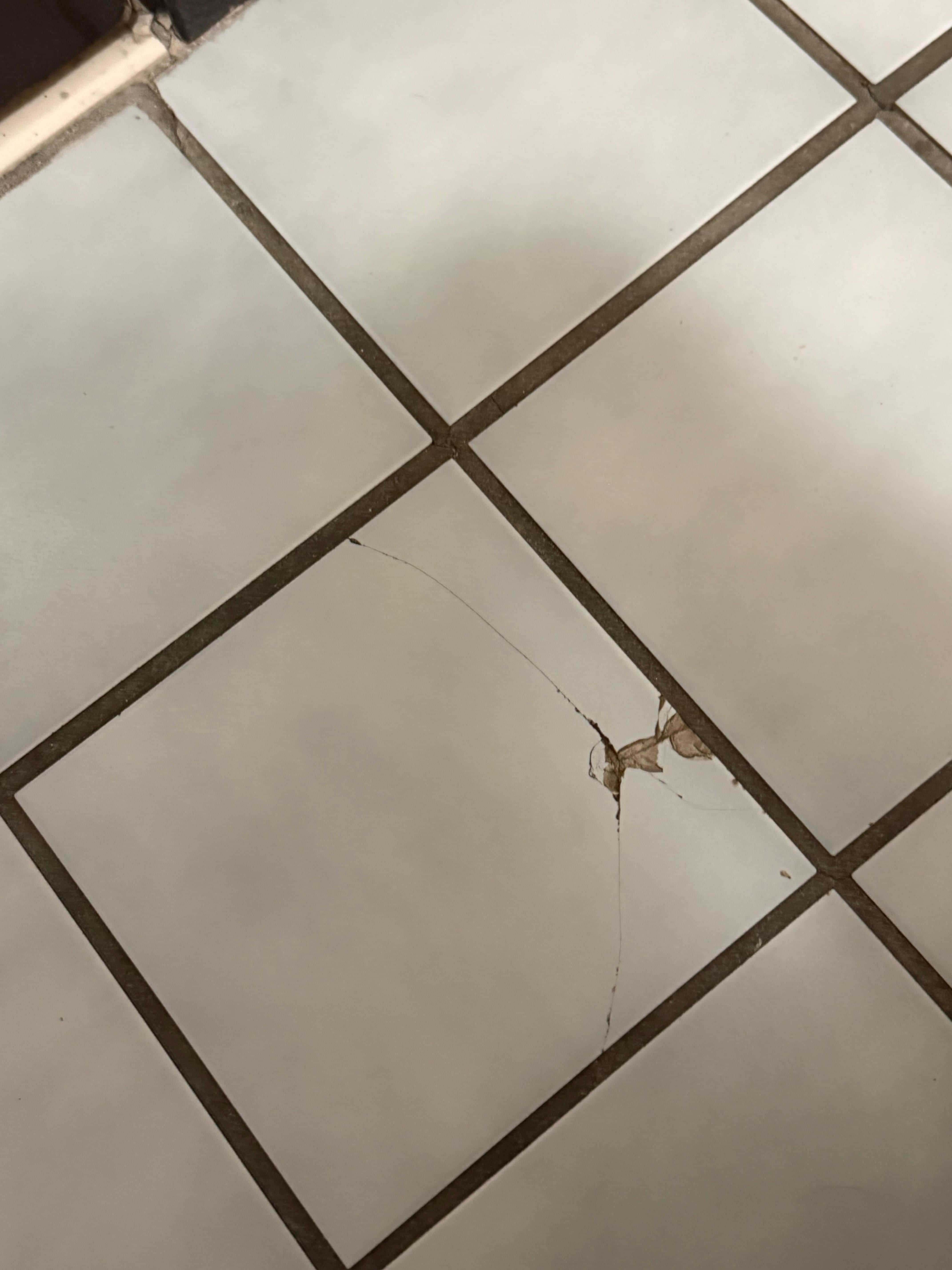 Broken tile on bathroom floor that you could cut your foot on if you weren’t careful 