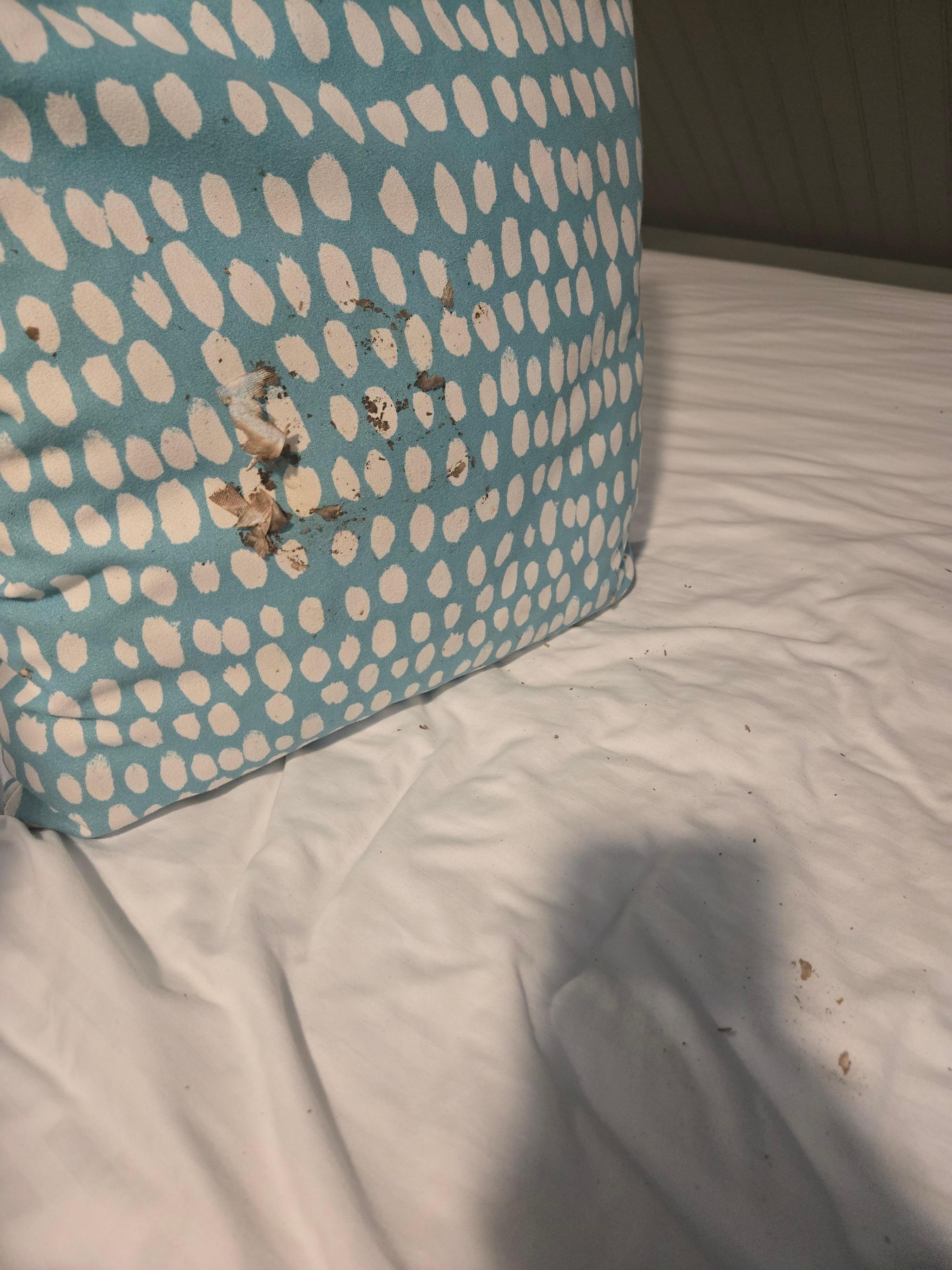 Pillow and comforter in the bunk room (some sort of food stains, showing the bed was never cleaned before our visit)