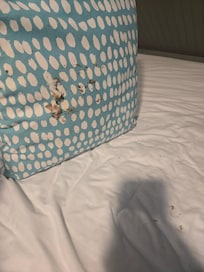 Pillow and comforter in the bunk room (some sort of food stains, showing the bed was never cleaned before our visit)