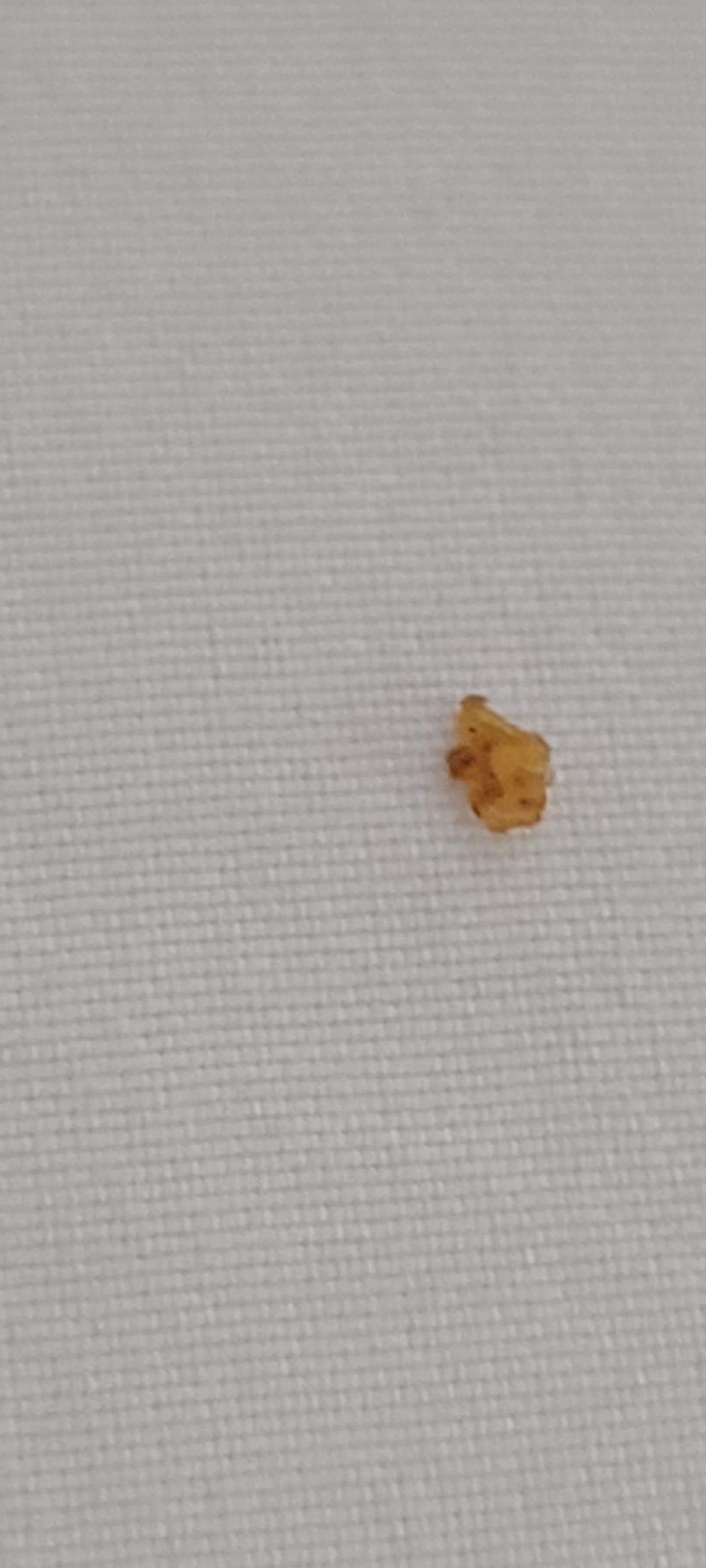 something under the covers,  crumb or otherwise 