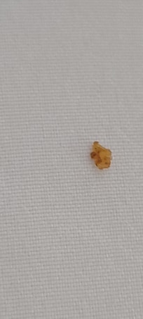 something under the covers, crumb or otherwise