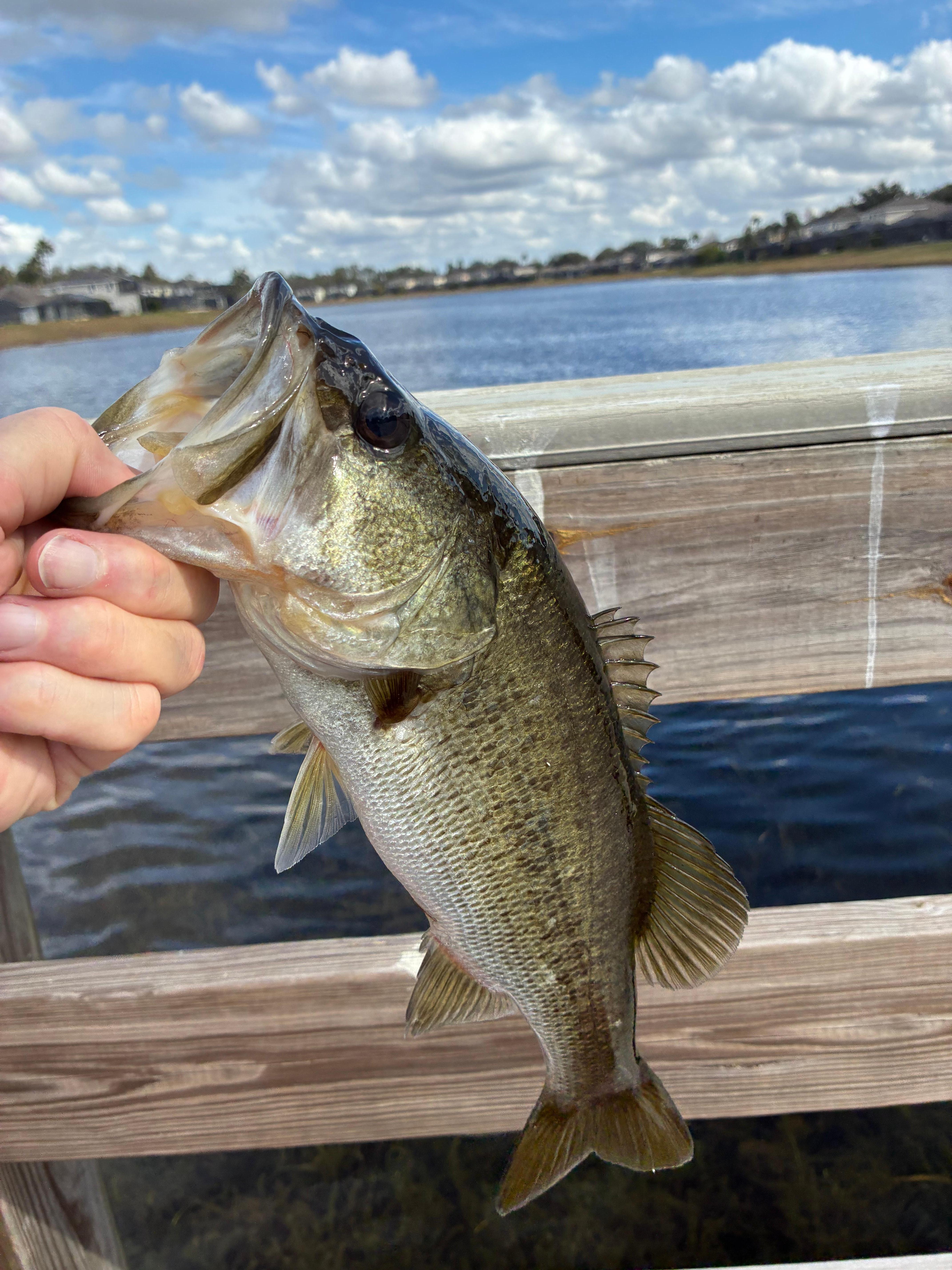 Great fishing literally across the street. 
