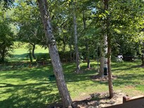 Beautiful backyard