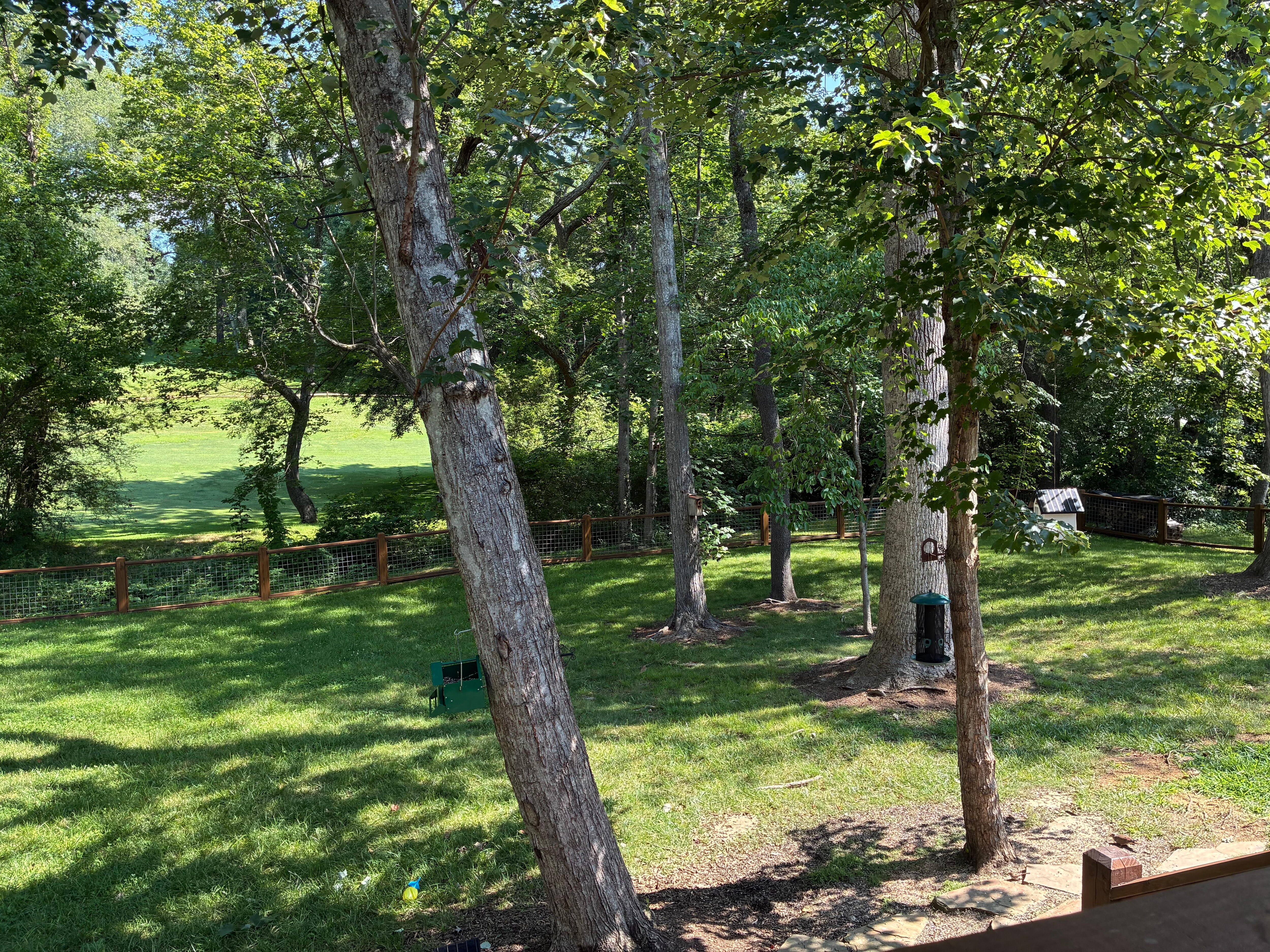 Beautiful backyard 
