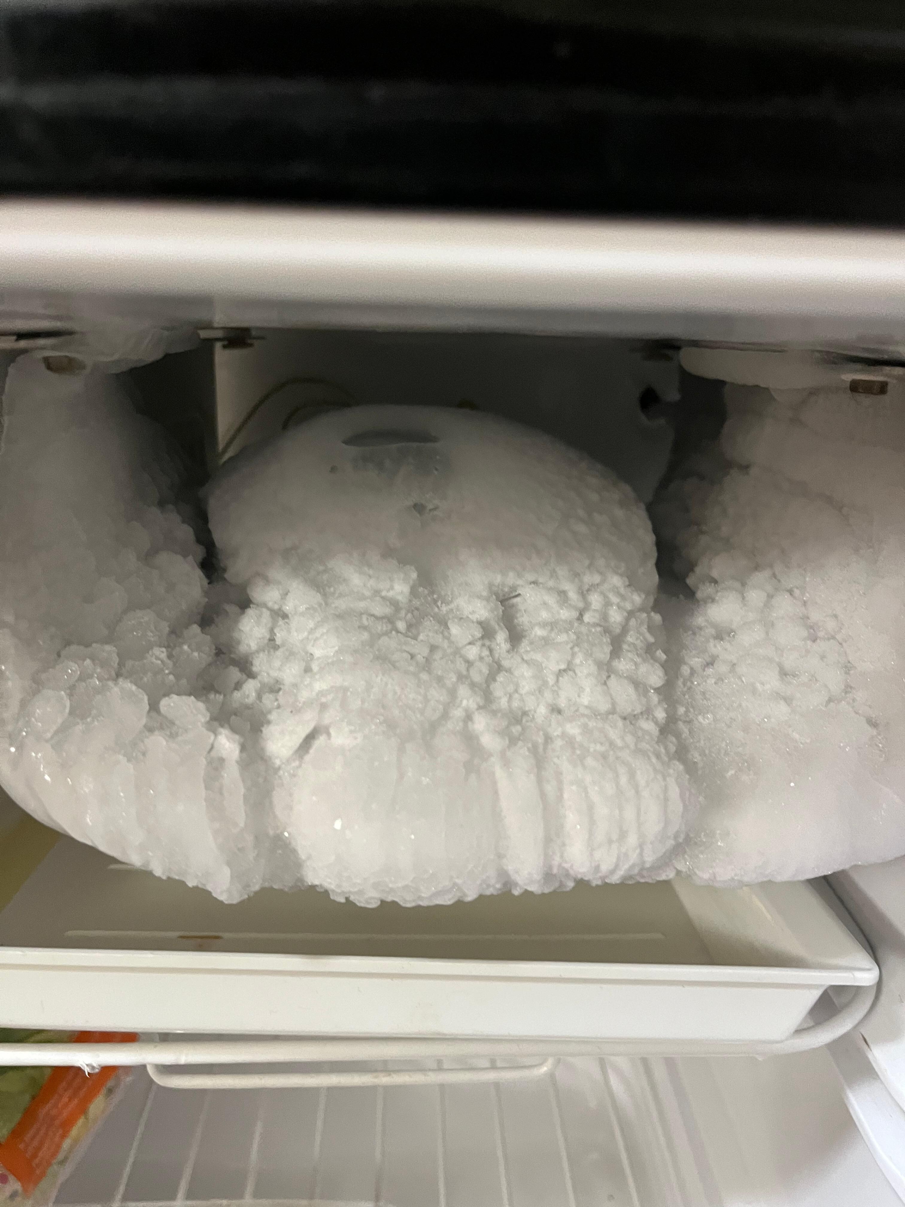 The freezer section was a chunk of ice.