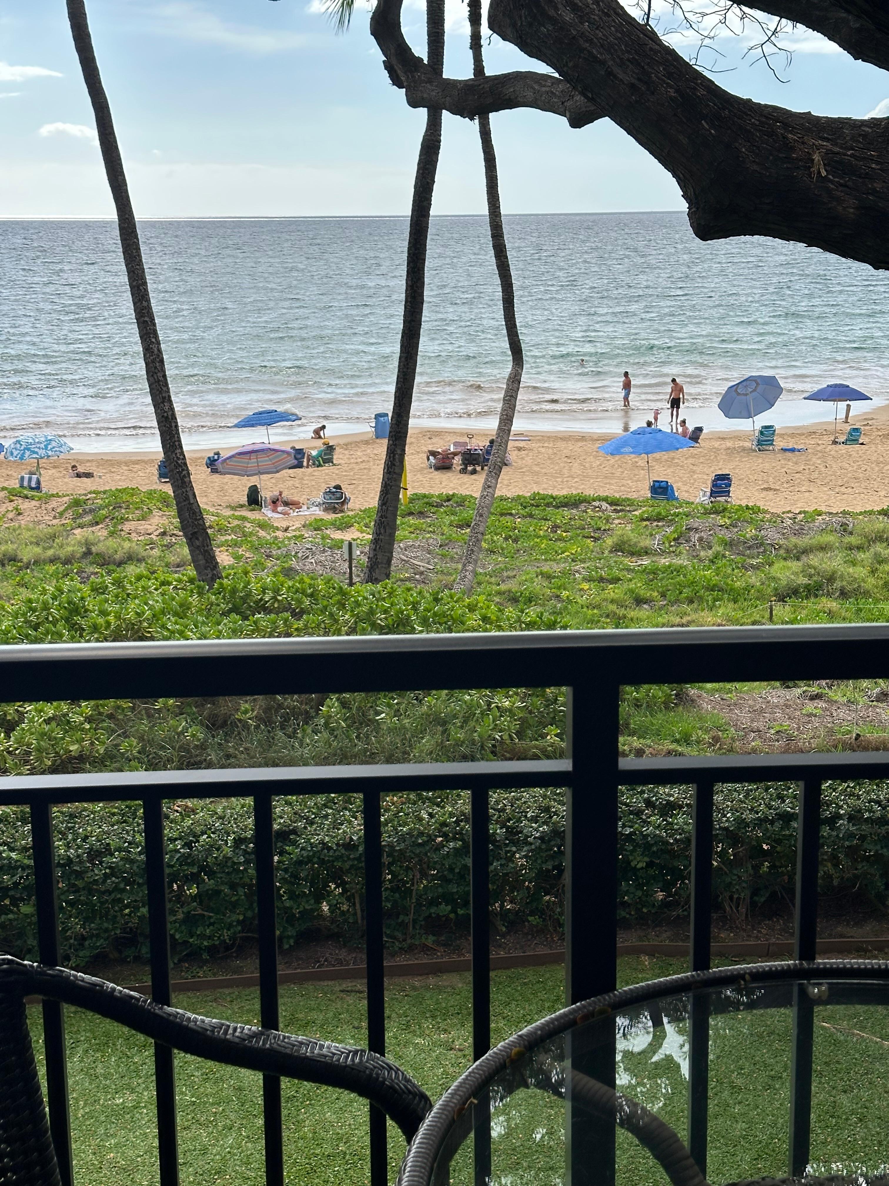 couldn’t have been closer to the ocean 