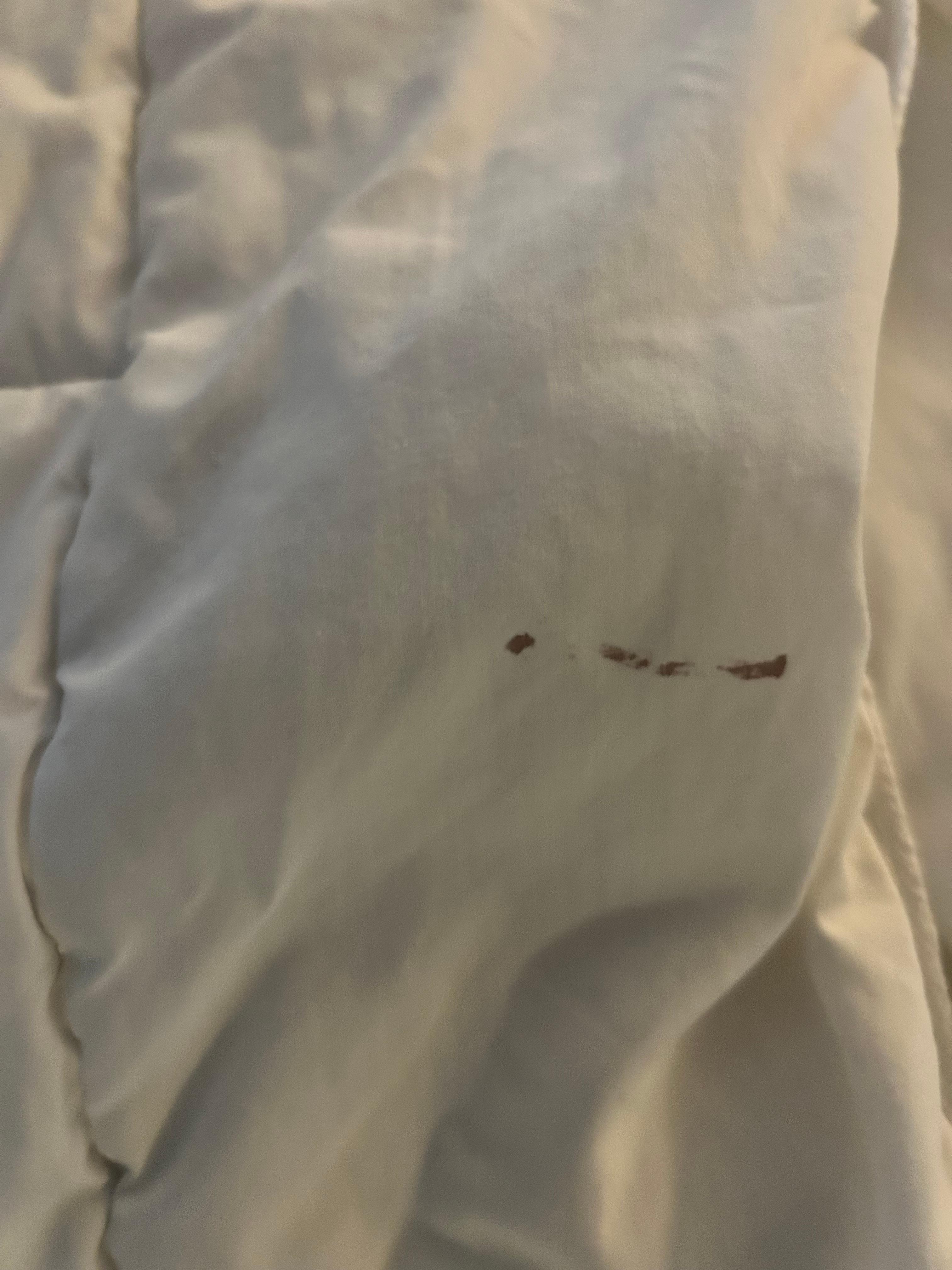  Blood stained comforter 
