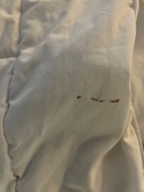Blood stained comforter