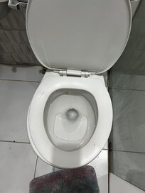 Dirty toilet