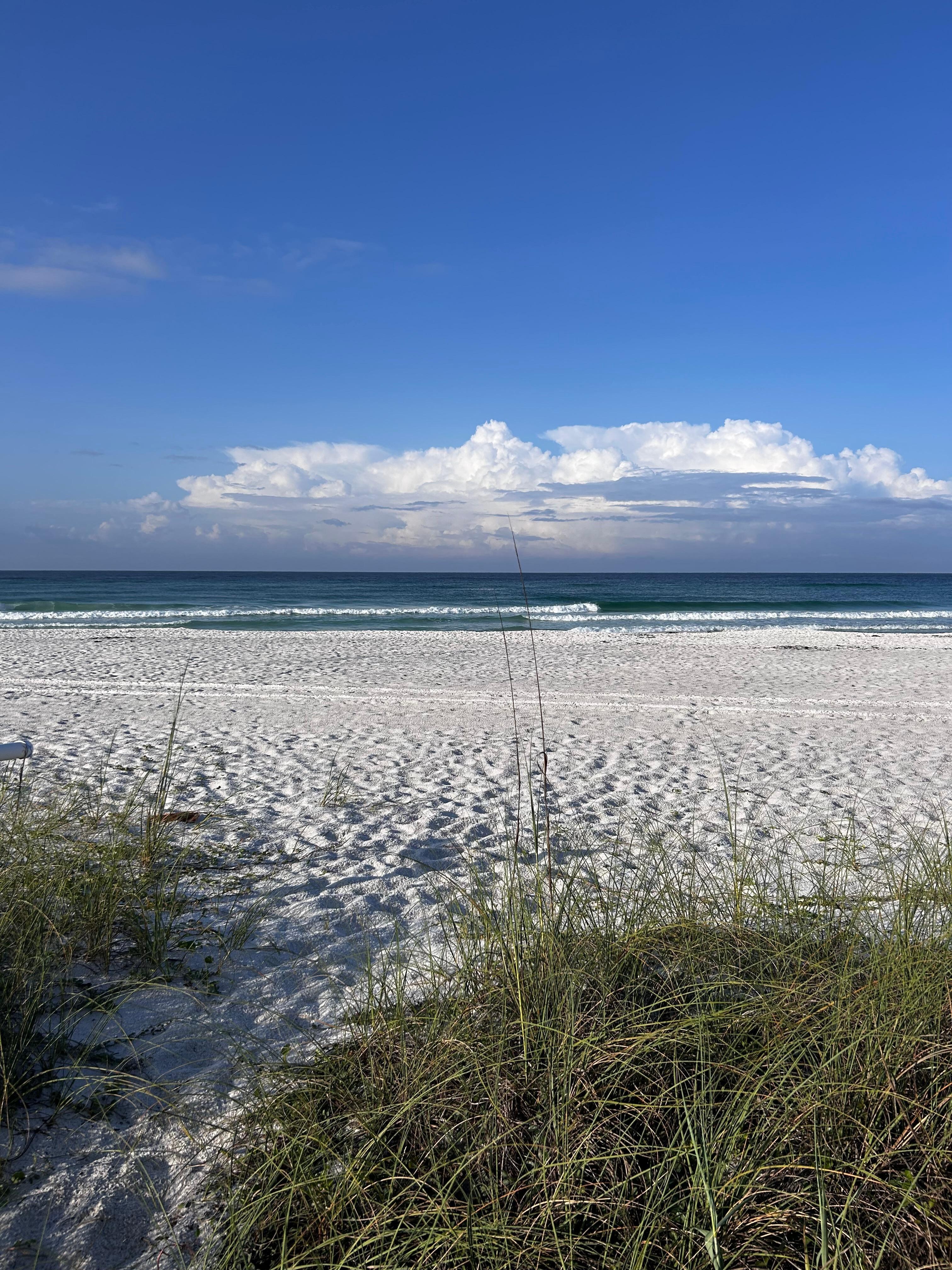 Easy walk to the beach!