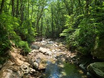 Otter Falls Trail
