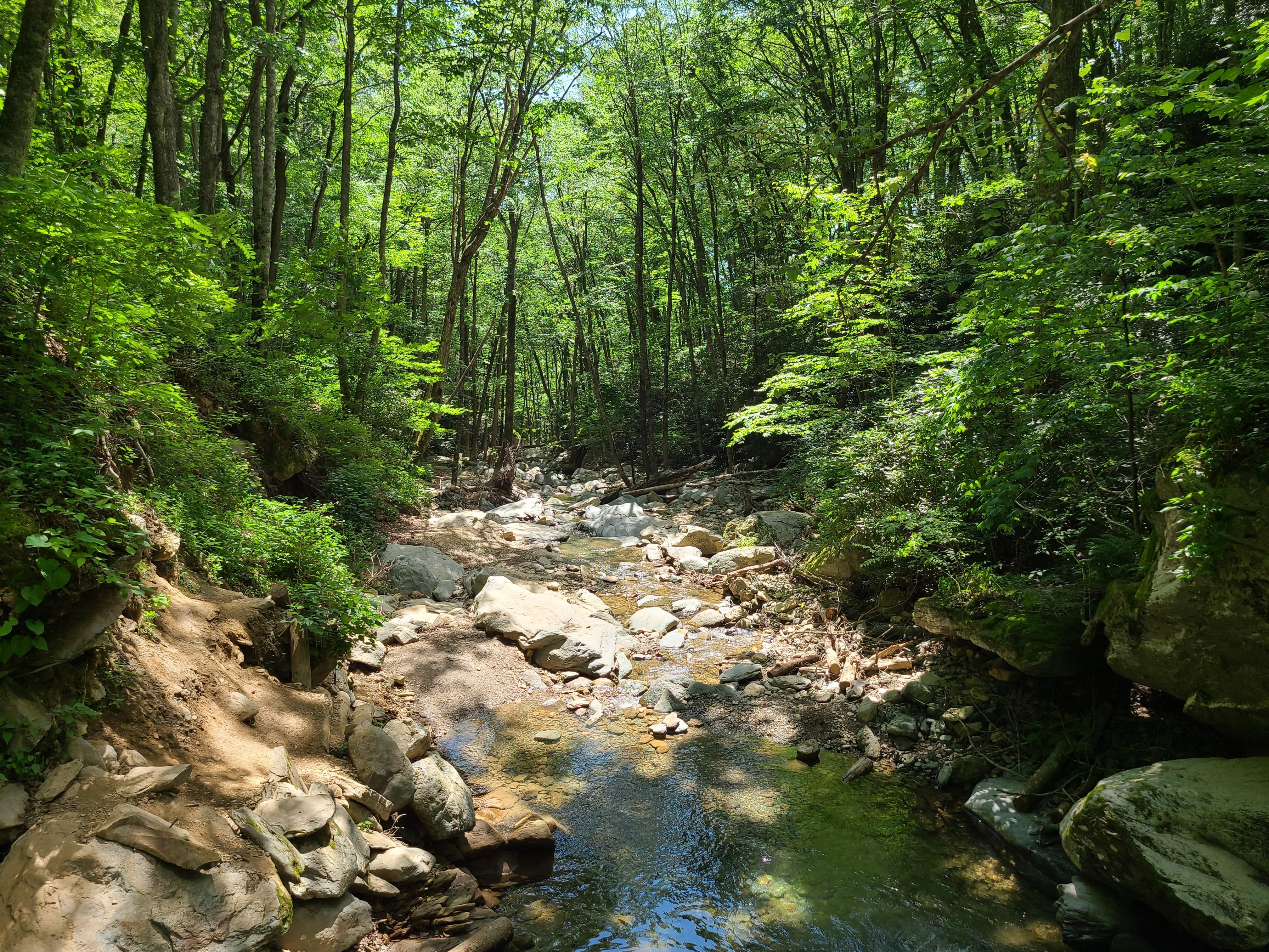 Otter Falls Trail