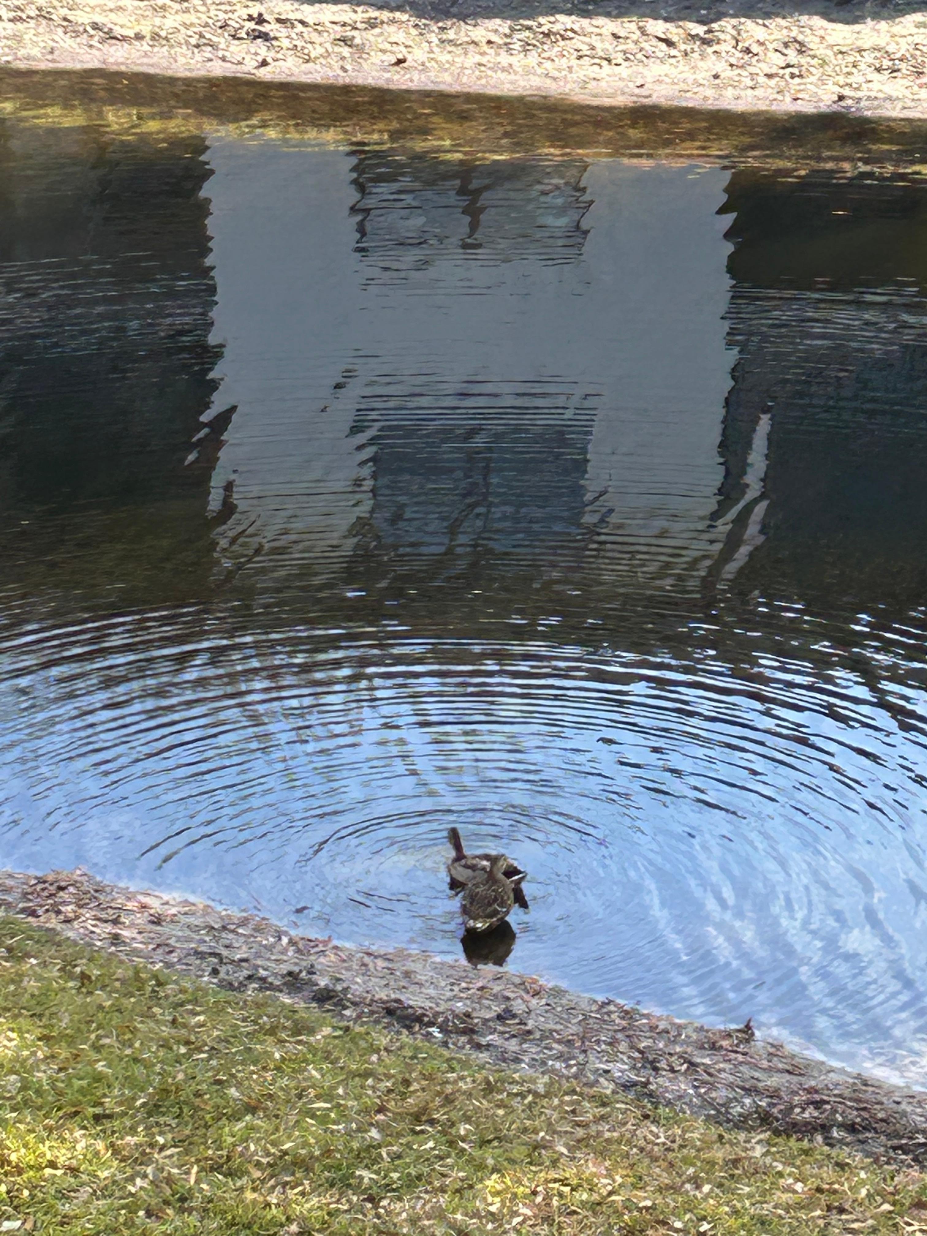 Sitting on screened in balcony 
