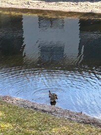 Sitting on screened in balcony