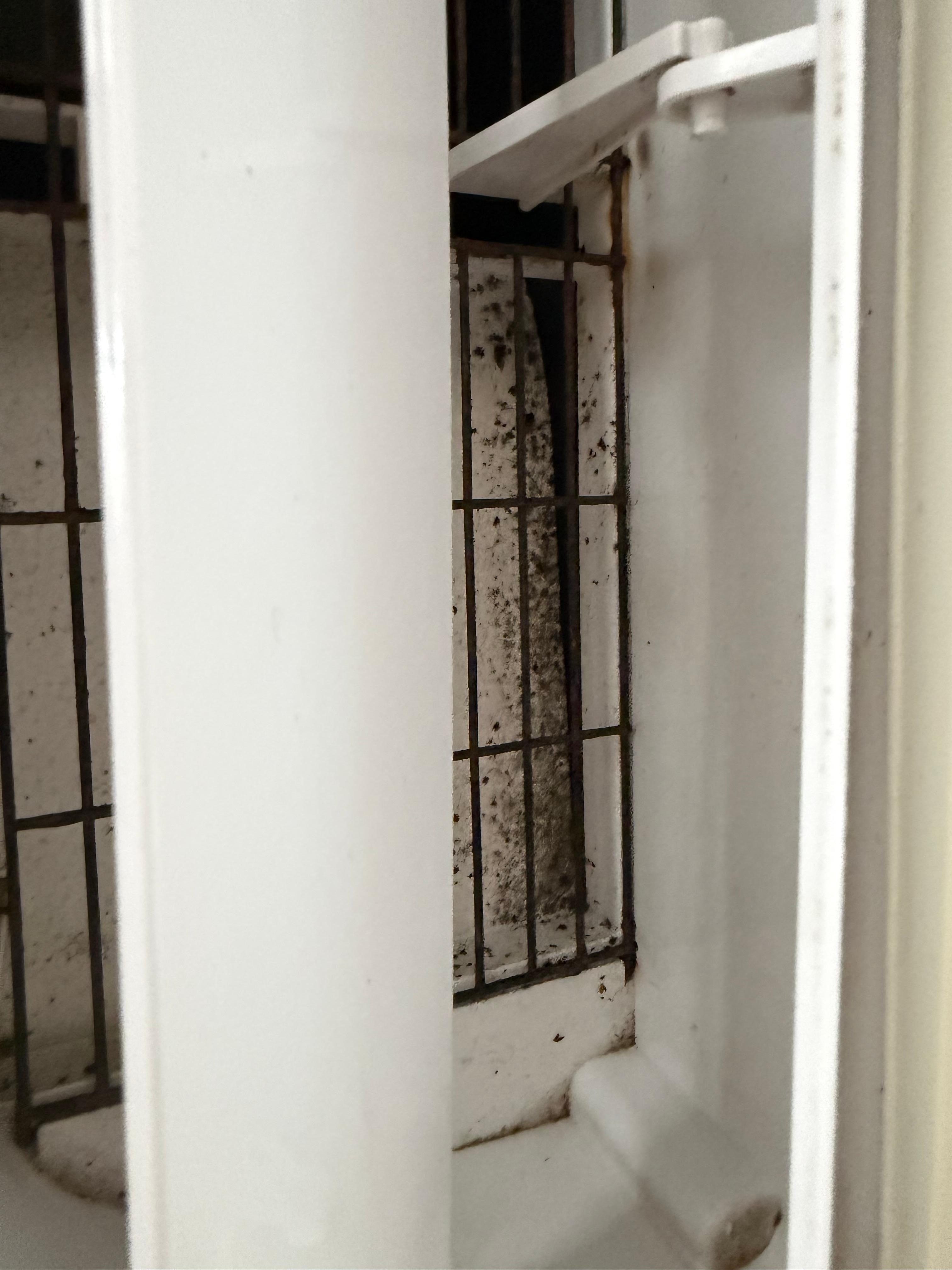 Visable mold throughout the only source of airflow in the downstairs unit. Unit was on max setting upon arrival. 