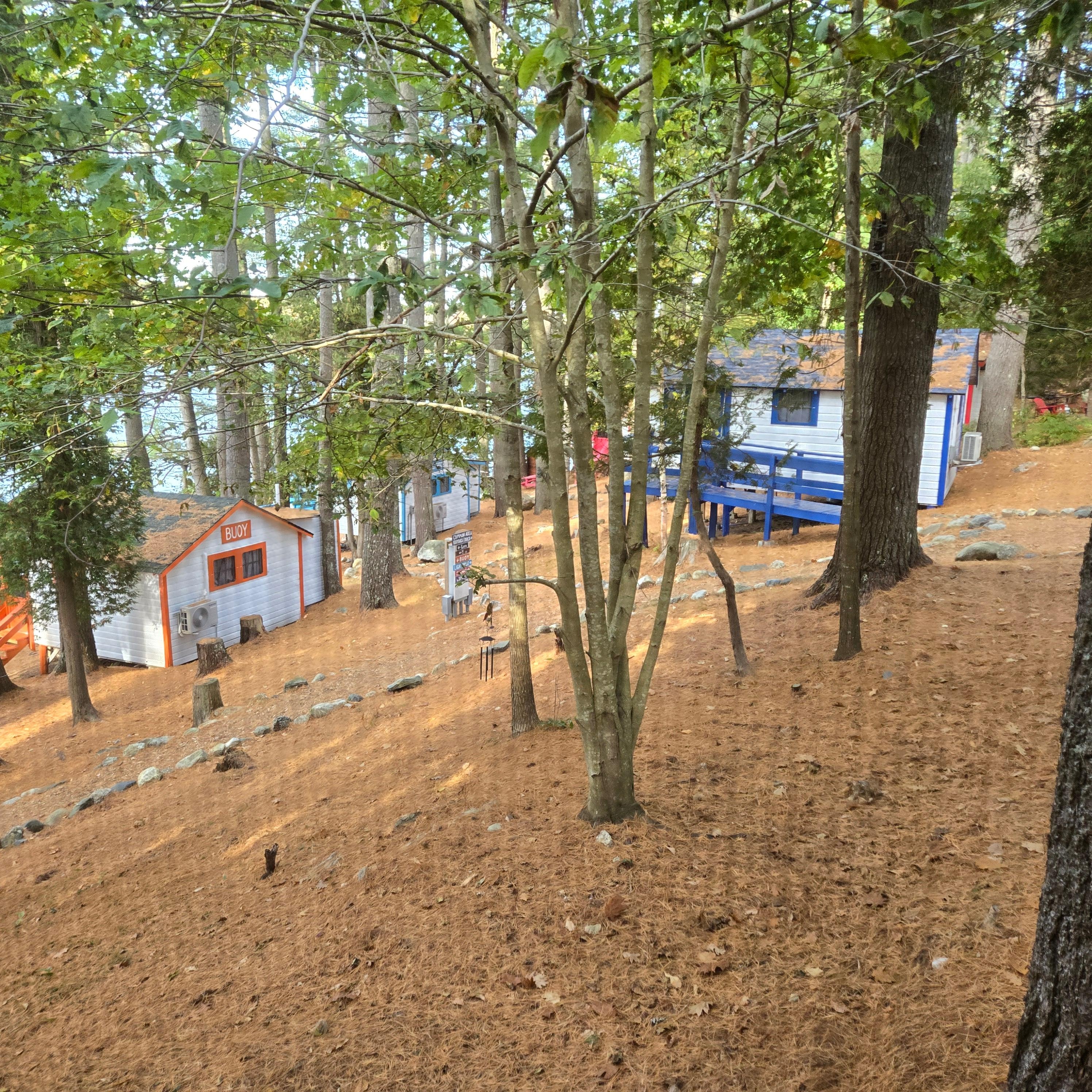 The view from the porch.