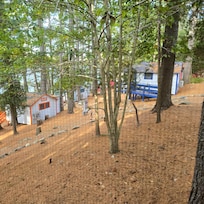 The view from the porch.