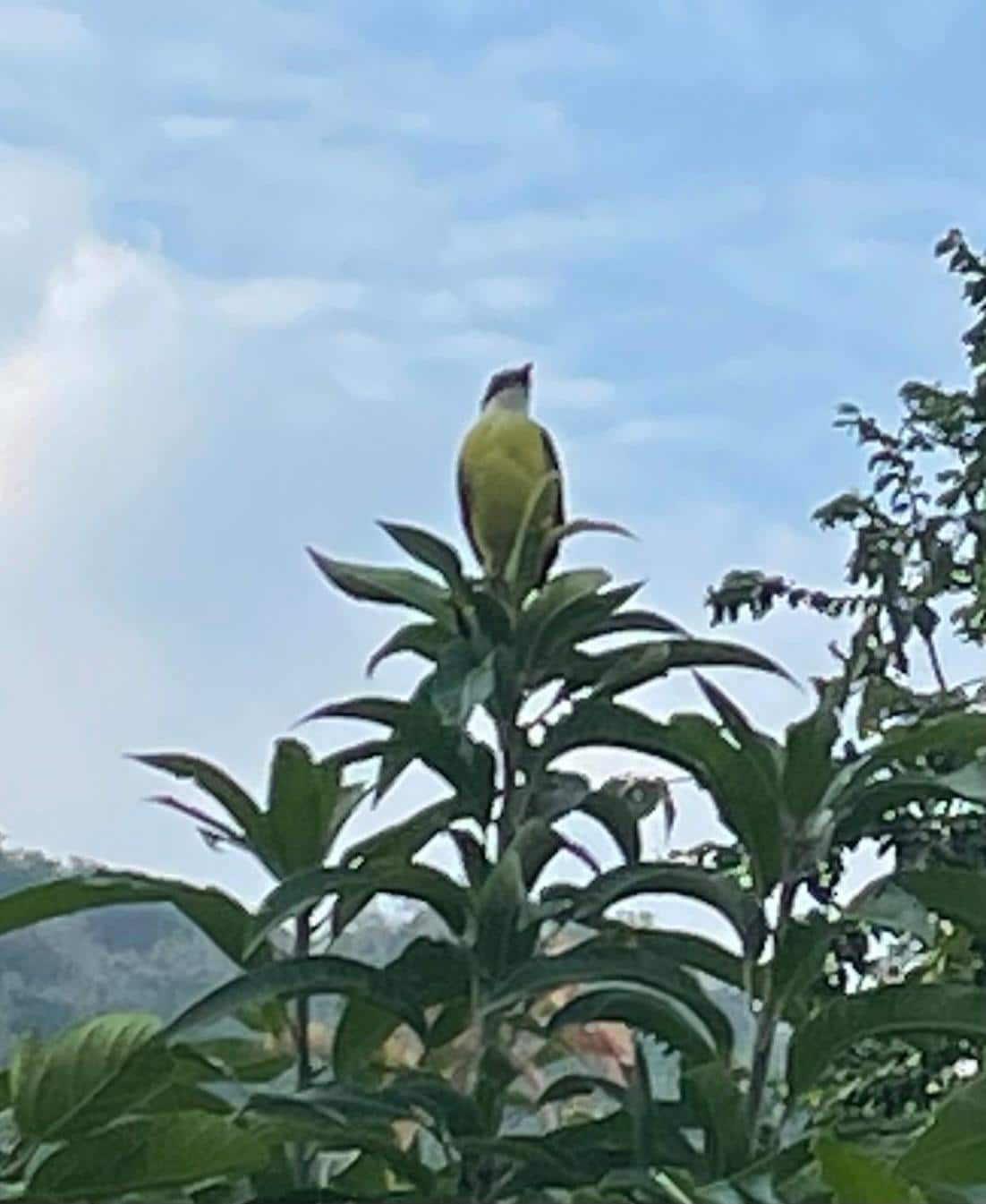 Waking up to birds singing to us on the patio. 