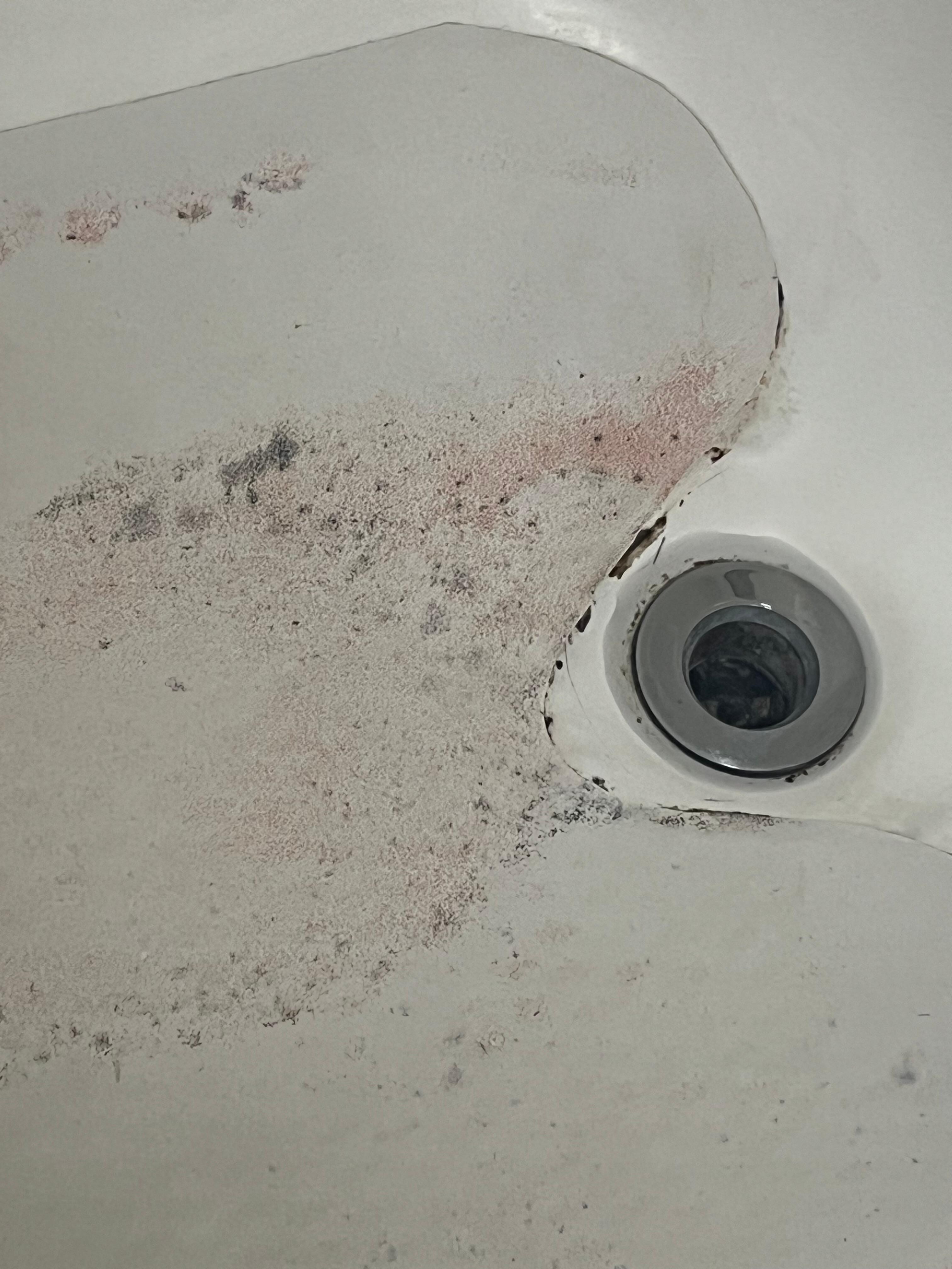 Black mold 