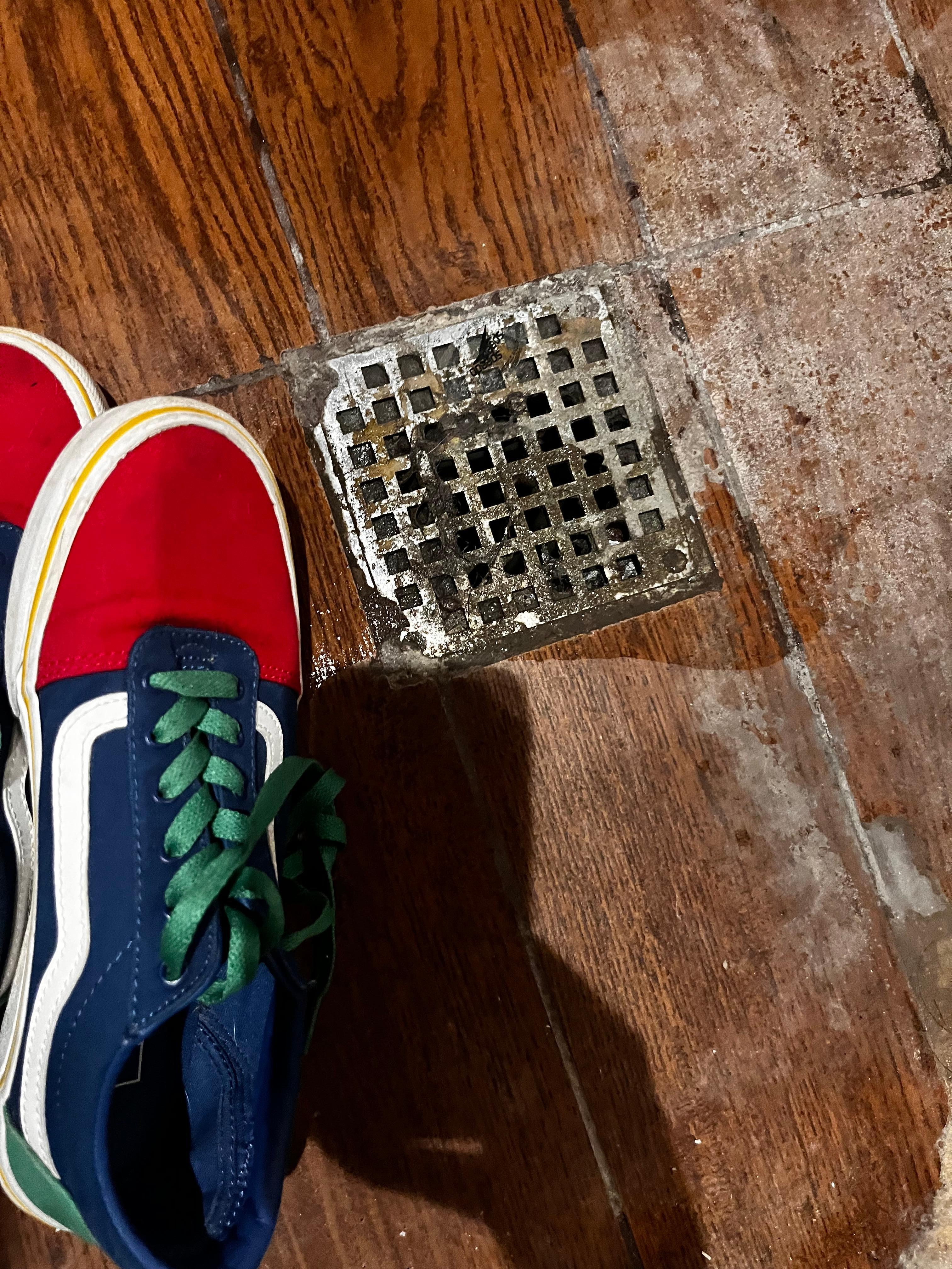 Drain in spa/pool. The floor had much of this muck