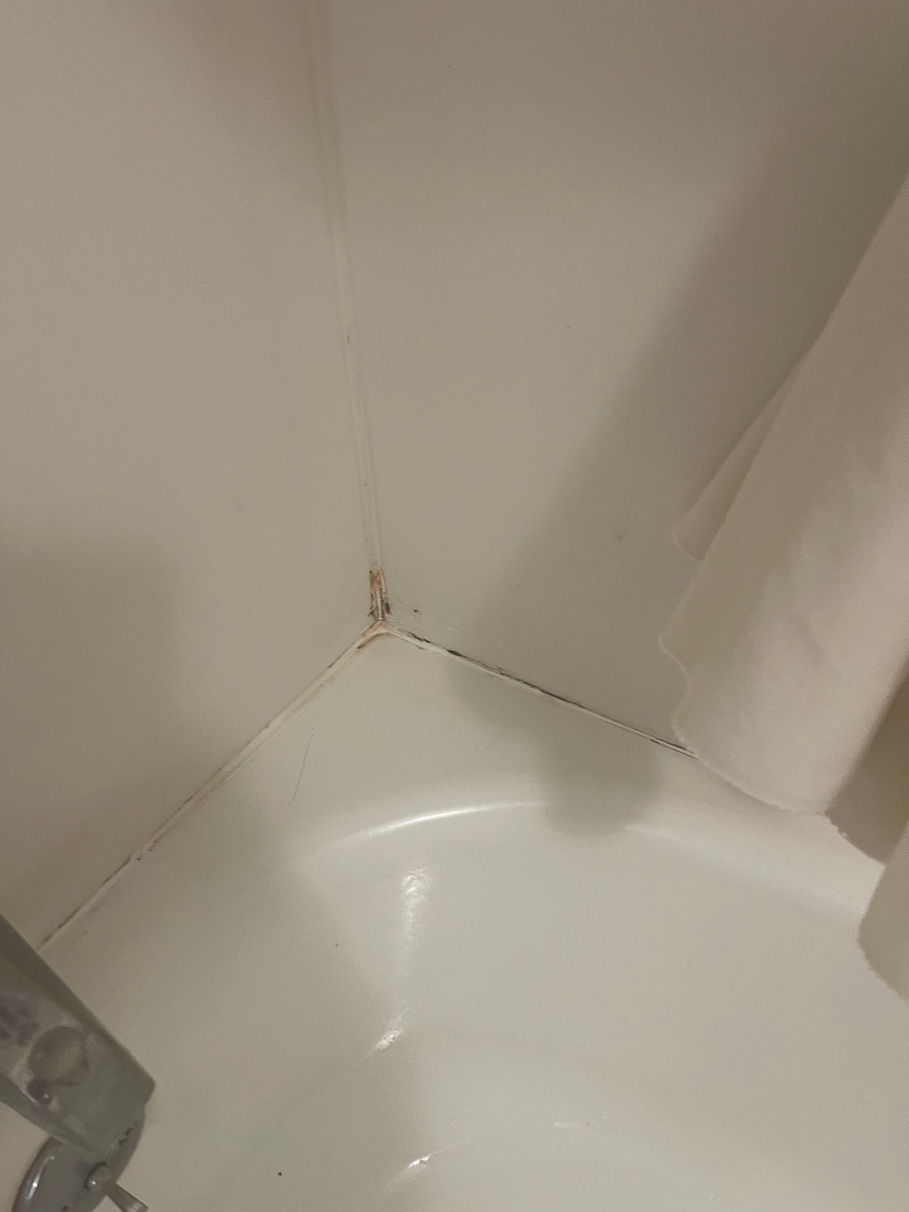 Another picture on the other side of the tub with the mold and slime