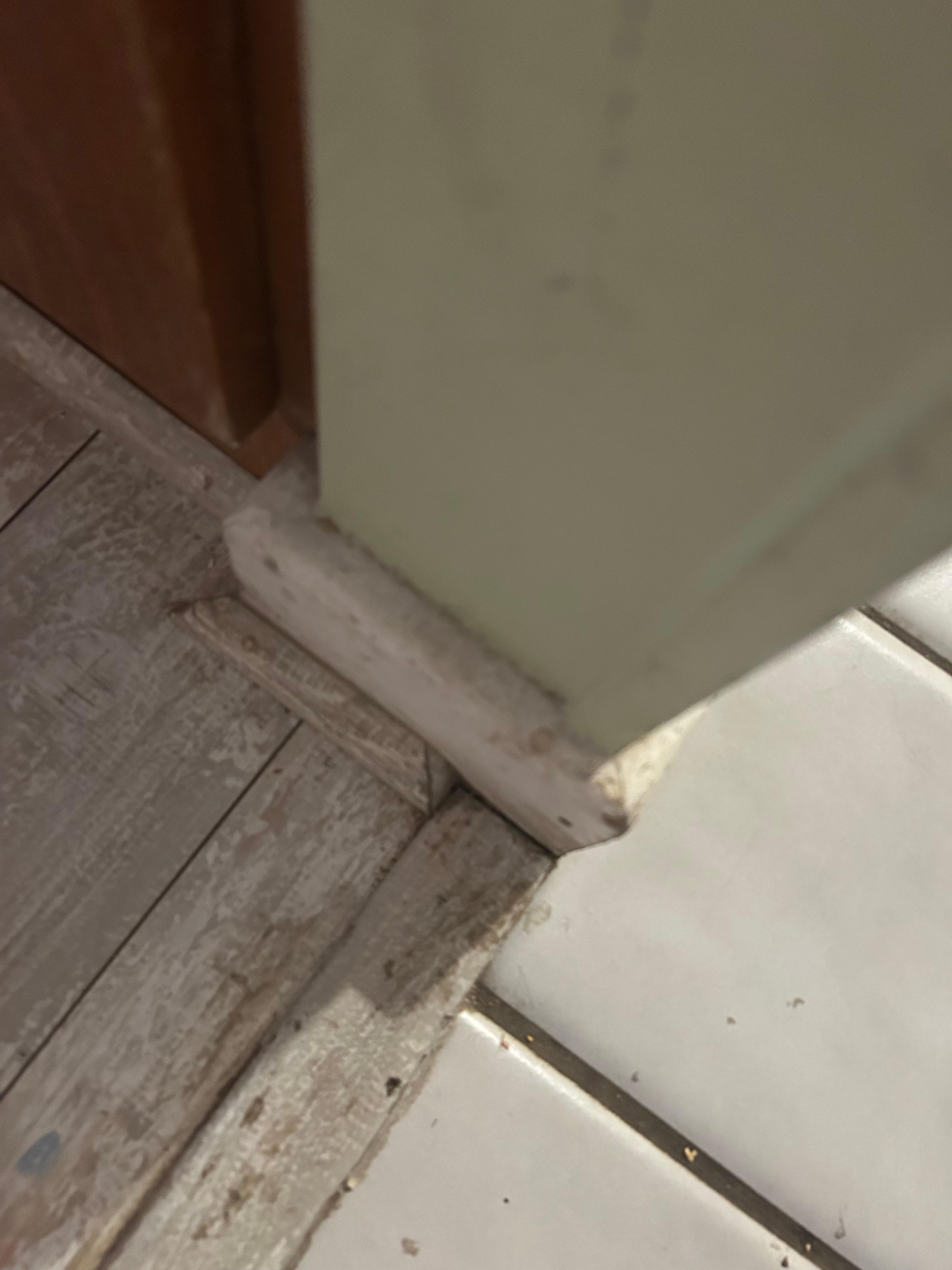 Filthy baseboards 