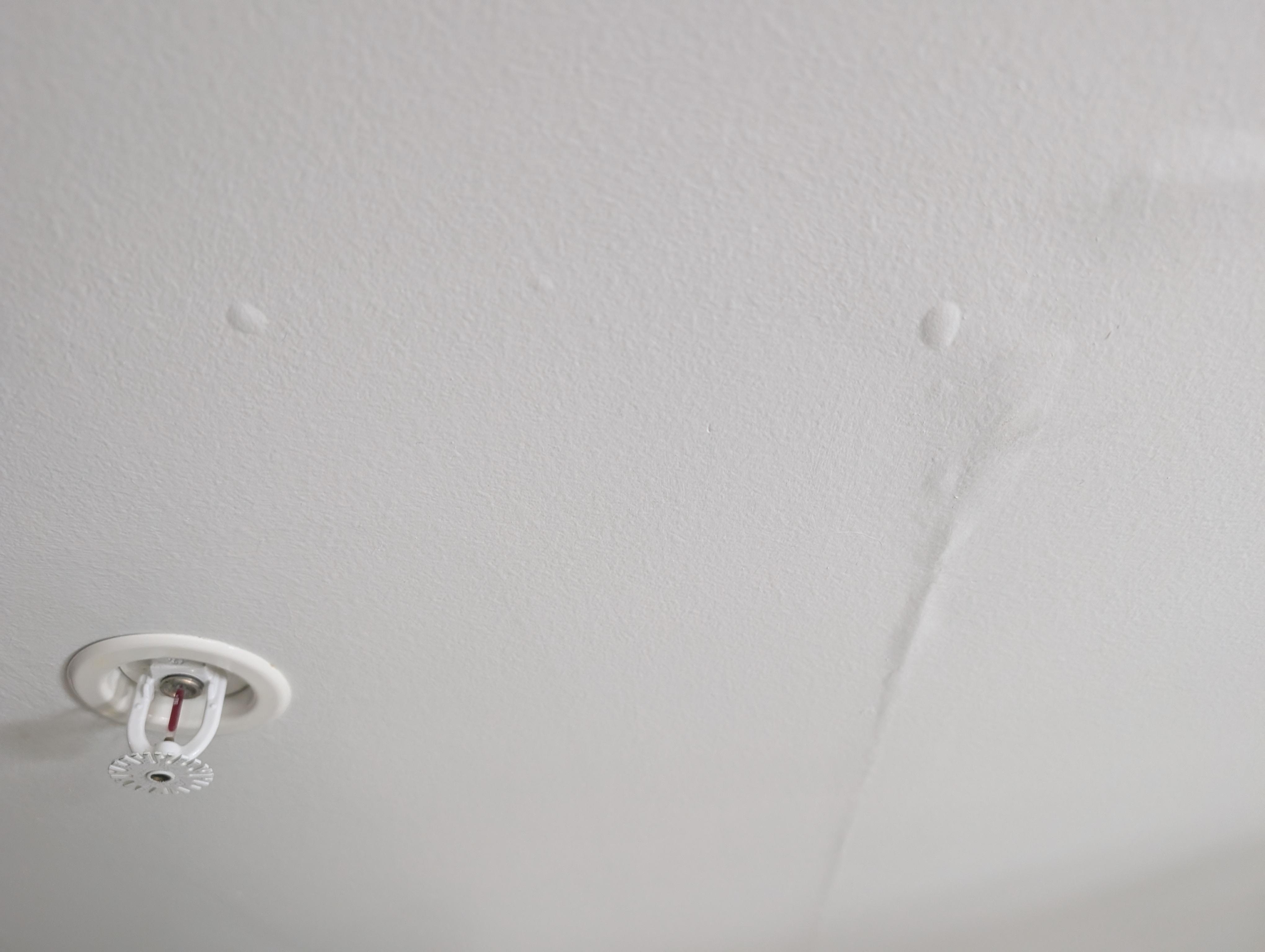 Bubbles forming in the ceiling from water.