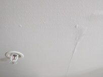 Bubbles forming in the ceiling from water.