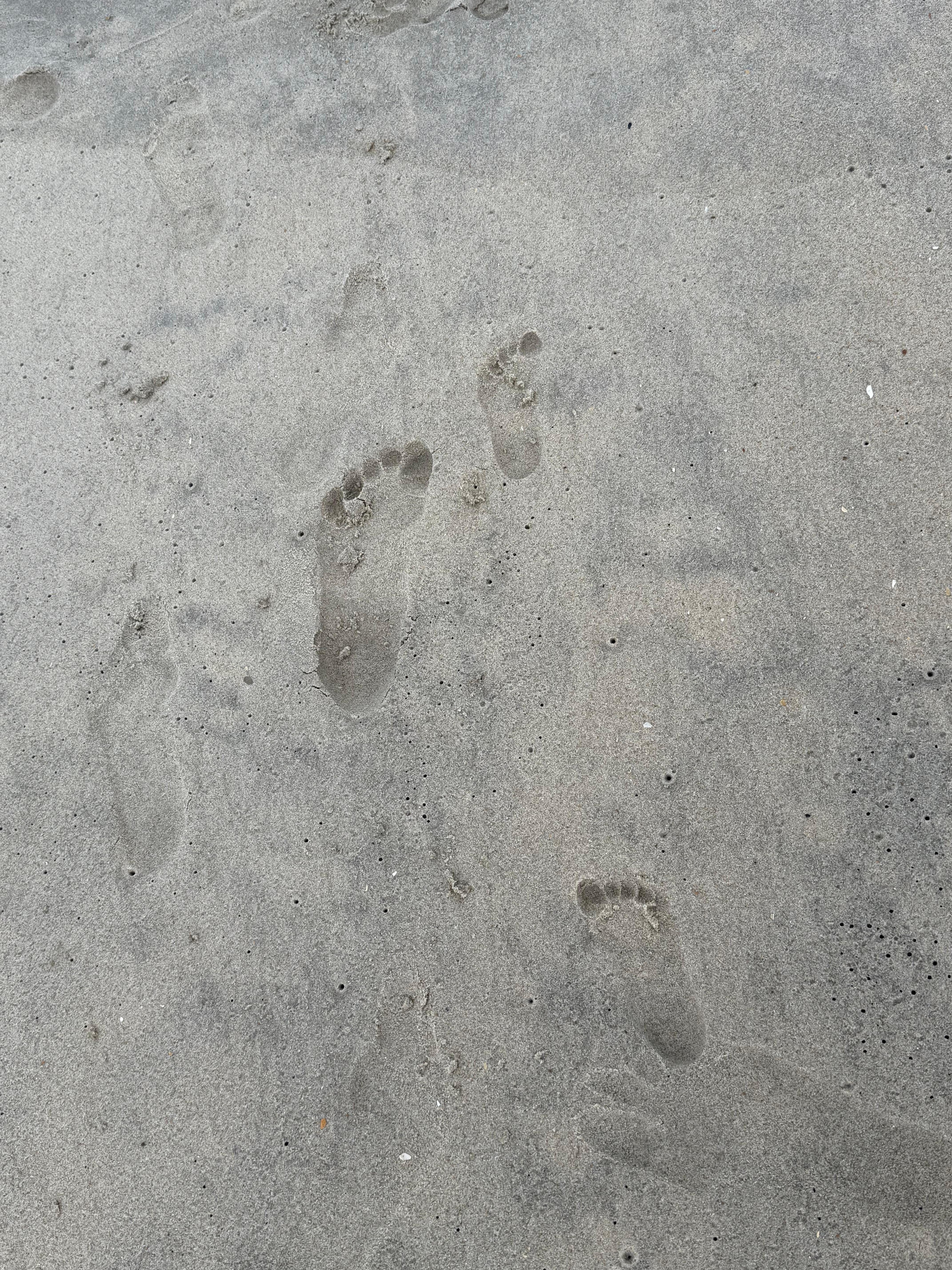 Footprints in thecsanf